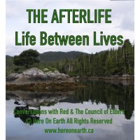 Afterlife