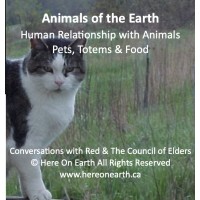 Animals of the Earth