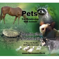 Pets
