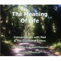 Meaning of Life