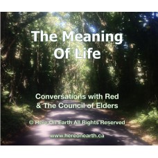 Meaning of Life