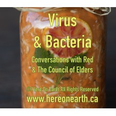 Viruses & Bacteria